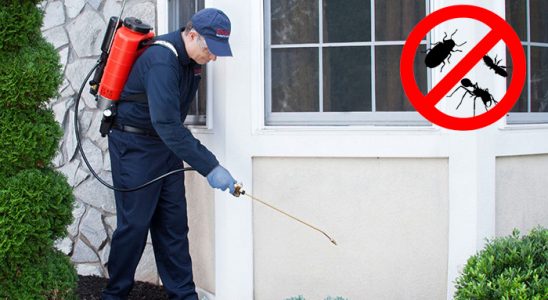 Boyabat Hamam Böceği İlaçlama böcek ilaçlama ve haşere kontrolü — ilaclama-tr.com